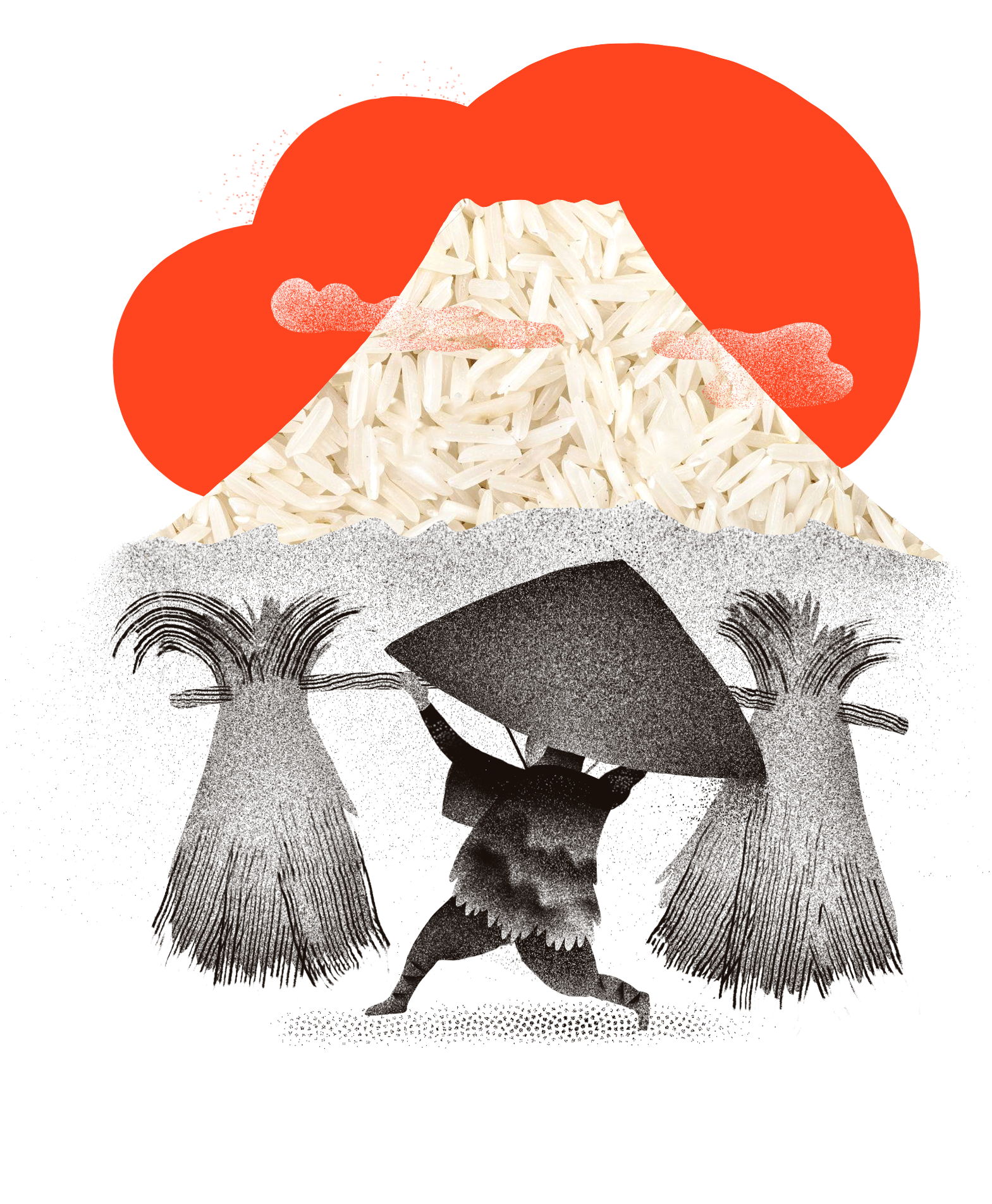 Illustratsioon riisipakile - Tartu Mill