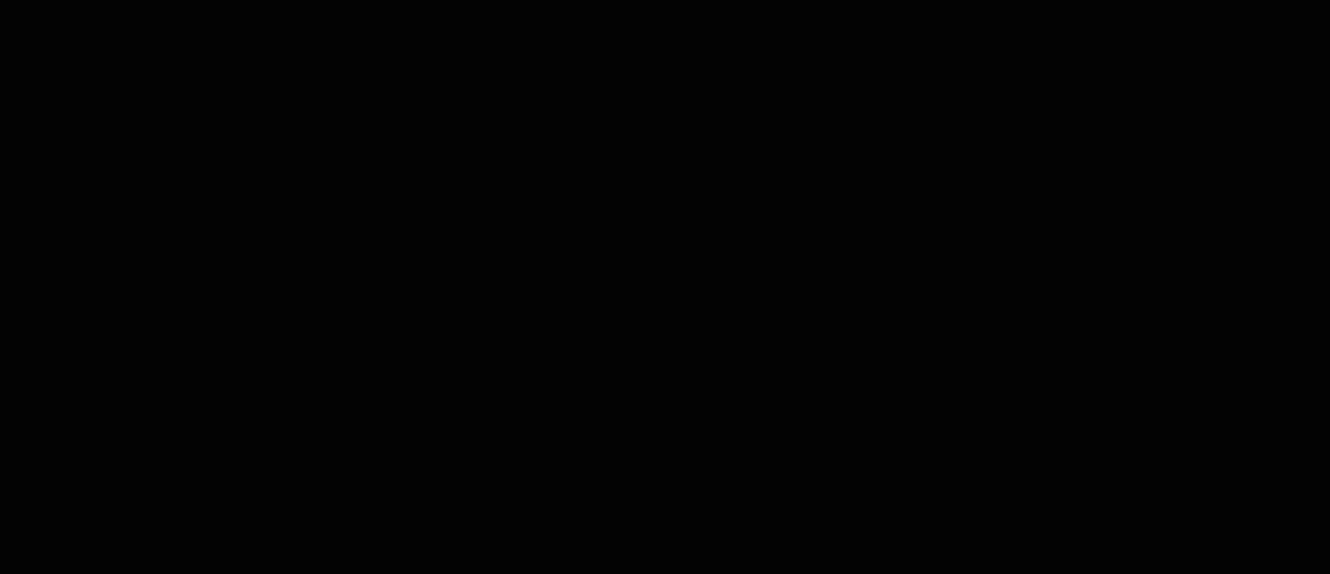 Kinoport-VisuaalneIdentiteet-Logo-Animatsioon